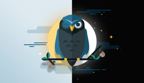 There is a clear difference between early birds and night owls within society. Is it warranted?